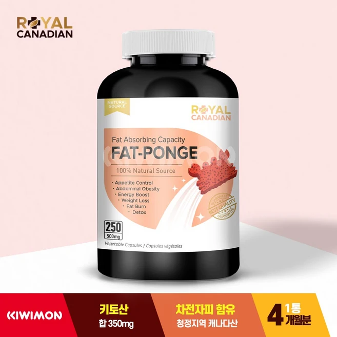 팻폰지