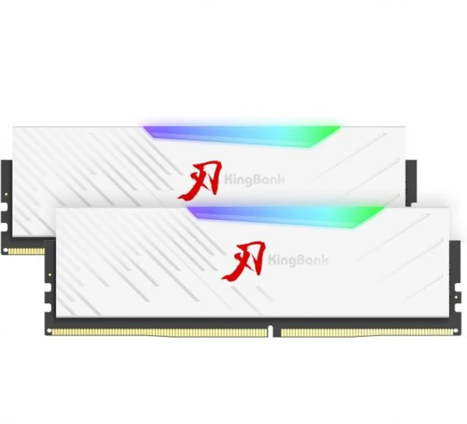 킹뱅크ddr5